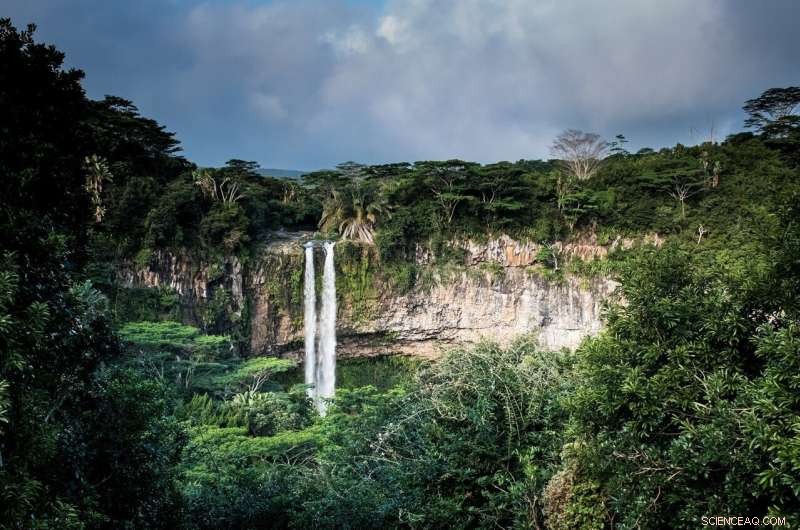 Climate Change Threatens North America s Largest Temperate Rainforest, Endangering Salmon Populations