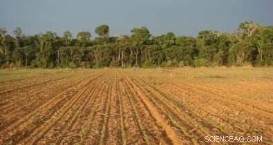 Deforestation Drives Higher Diversity of Antibiotic-Resistant Soil Bacteria