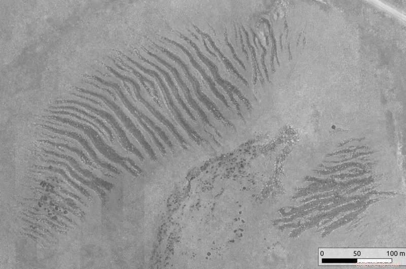 Ethiopian Highlands: Glaciers and Mysterious Stone Stripes on Sanetti Plateau