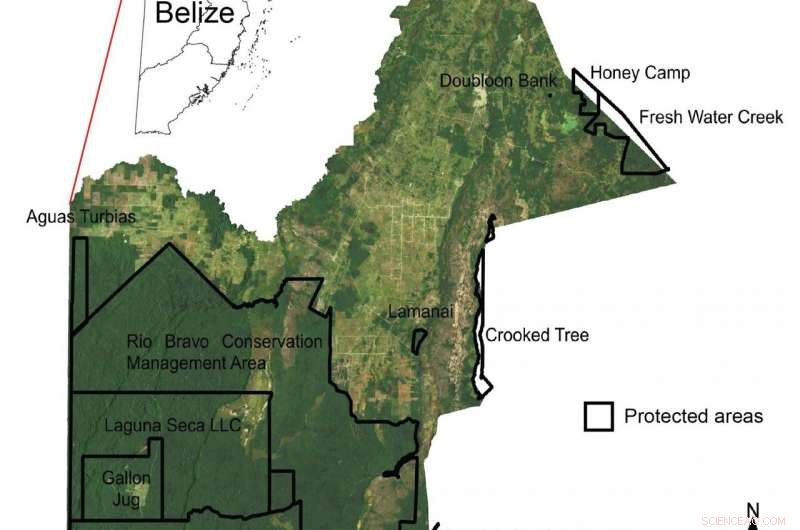 NASA Satellite Images Reveal Rapid Loss of Belize s Key Forests and Wetlands