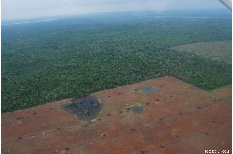 NASA Satellite Images Reveal Rapid Loss of Belize s Key Forests and Wetlands