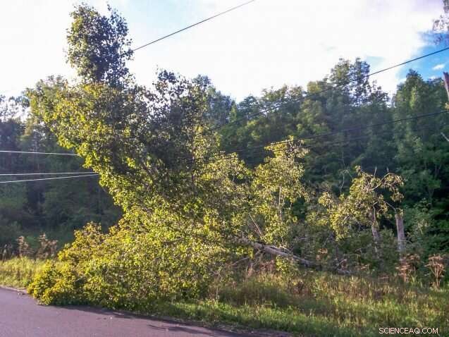 Building a Safer Future: How Grid 2.0 Reduces Risk and Prevents Disasters