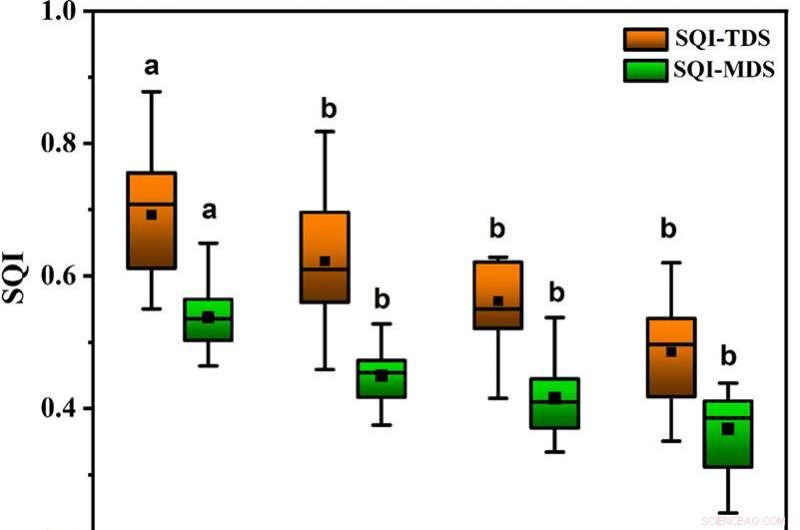 How Vegetation Succession Shapes Soil Quality in China’s Subtropical Karst Regions