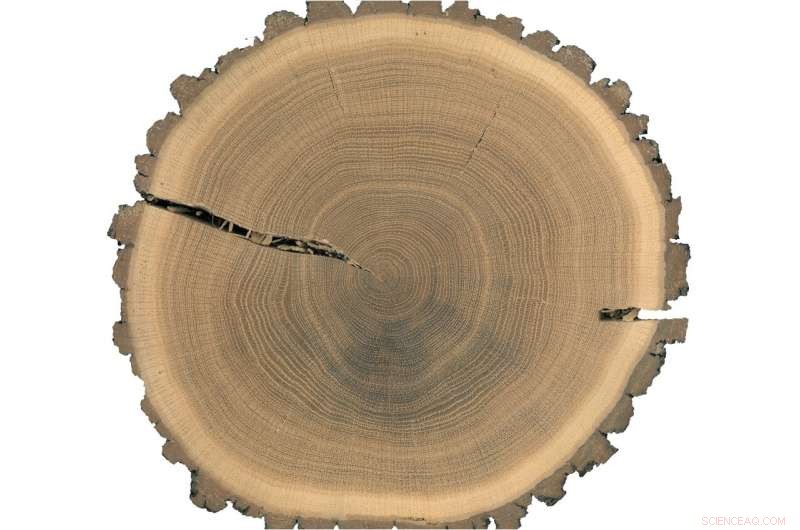 2015–2024 European Summer Droughts: Unprecedented Severity in Two Millennia