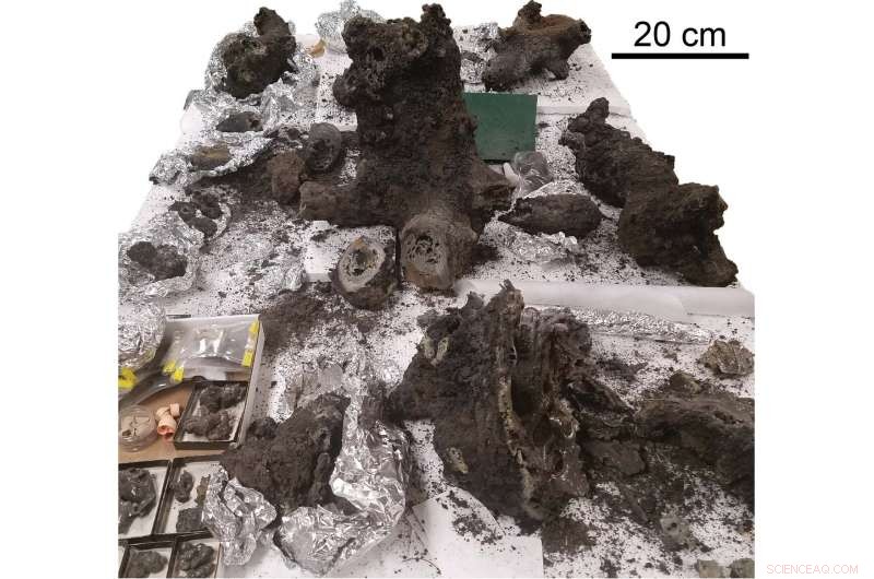 Study Reveals Lightning Strikes Crucial to Earth s Early Life Formation
