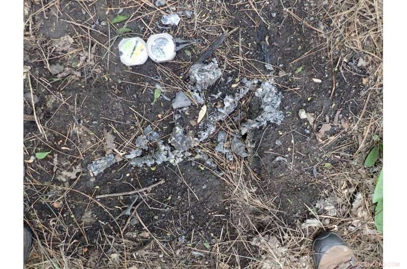 Study Reveals Lightning Strikes Crucial to Earth s Early Life Formation