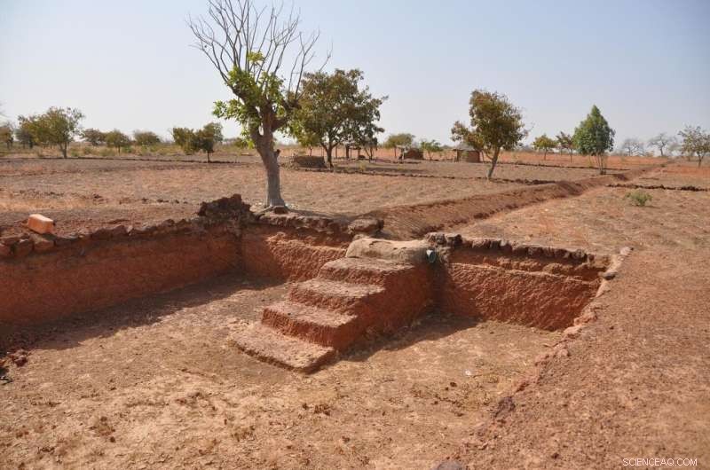How Burkina Faso s Forest Restoration Lessons Shape the Next Decade of Global Reforestation