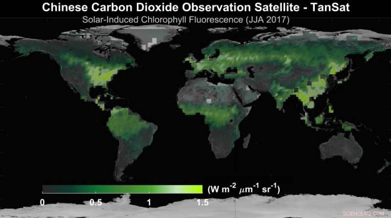 New Solar‑Induced Chlorophyll Fluorescence Map Enhances Carbon Neutrality Research