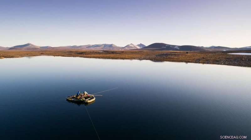 The Arctic Could Reclaim Its Lush Past, New Study Finds