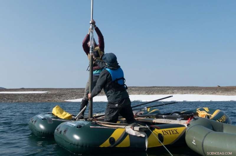 The Arctic Could Reclaim Its Lush Past, New Study Finds