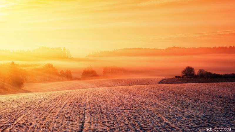 How Biocrusts Respond to Warming and Drought: New Scientific Insights