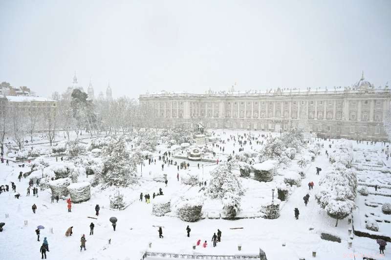 Record Snowfall in Madrid Leaves Trees Severely Damaged