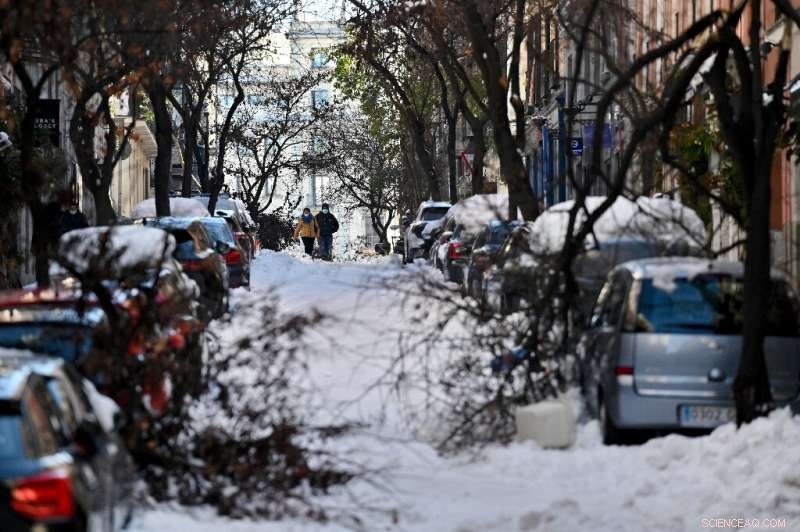 Record Snowfall in Madrid Leaves Trees Severely Damaged