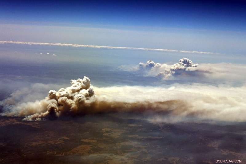 Study Finds Australian Bushfires Released Stratospheric Smoke Comparable to Major Volcanoes