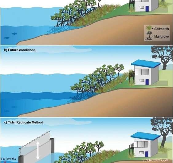 Engineering Bio‑Tide Systems to Safeguard Coastal Wetlands from Rising Seas