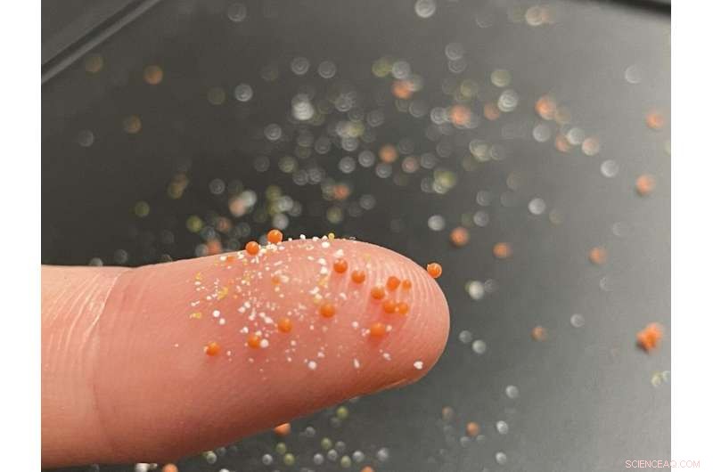 Microplastics Harbor Pathogens: New Research Links Them to Antibiotic-Resistant Bacteria