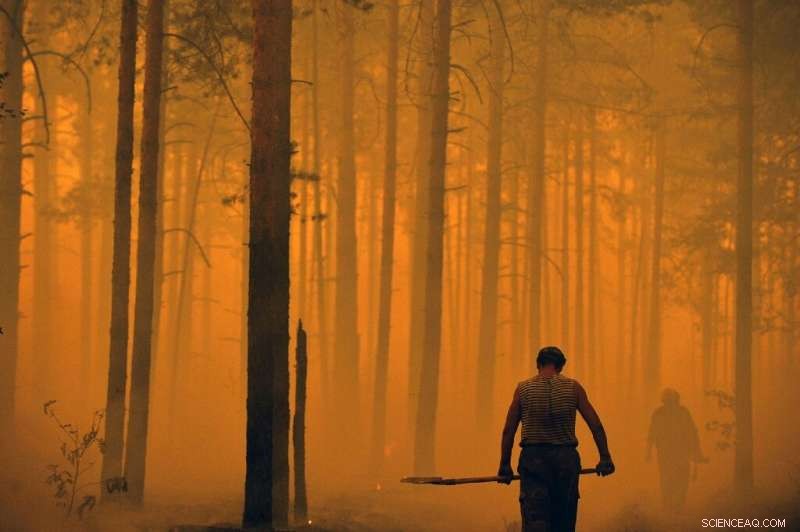 Russian Meteorologists Warn of Escalating Siberian Forest Fires Amid Heatwave