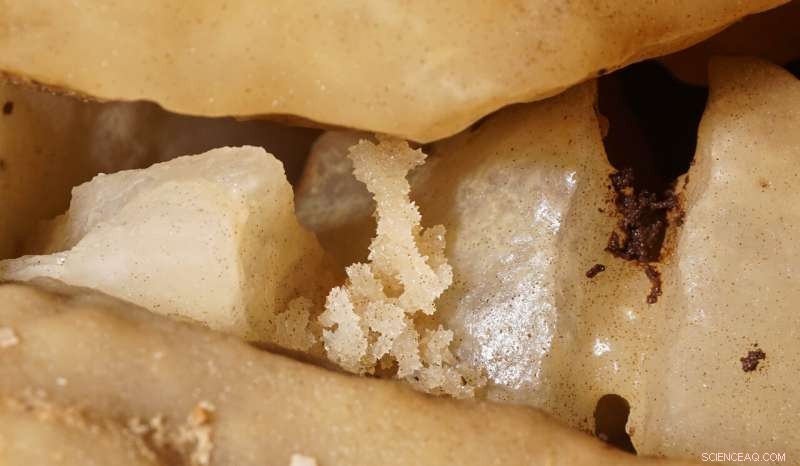 Precipitation Drives Alpine Glaciers  Peak Advance During the Last Ice Age