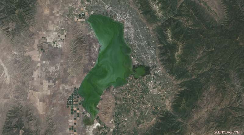 Landsat Satellite Data Detects Harmful Algal Blooms, Safeguarding Utah Lakes