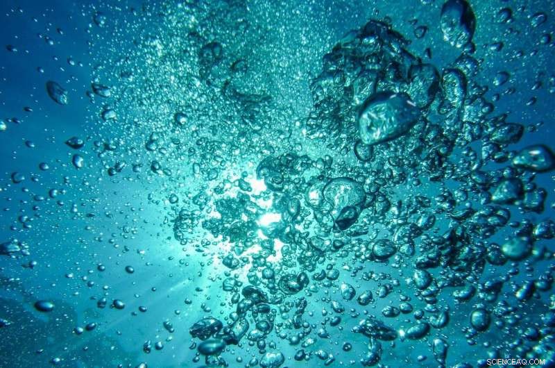 SeaClear Project Introduces First Autonomous Robots for Underwater Trash Collection