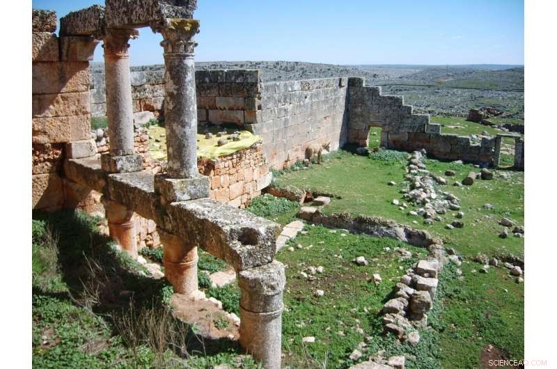 Advancing Insight into Societal Responses to Climate Change