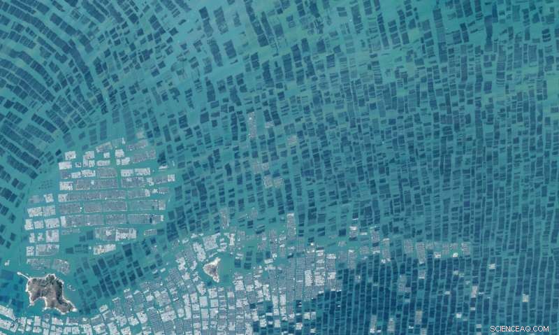 Experts Evaluate Aquaculture s Promise and Risks