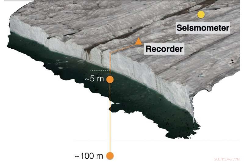 Unveiling Turbulent Plume Dynamics at Greenland Glacier Calving Fronts