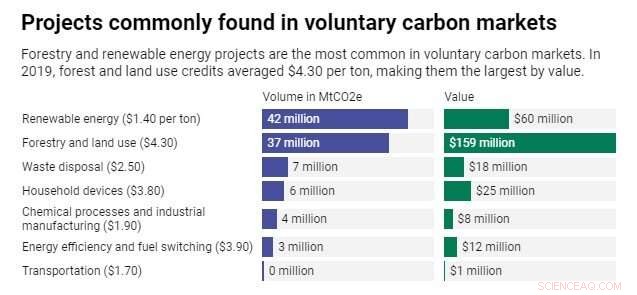 Do Net‑Zero Commitments From Major Companies Deserve Healthy Skepticism?