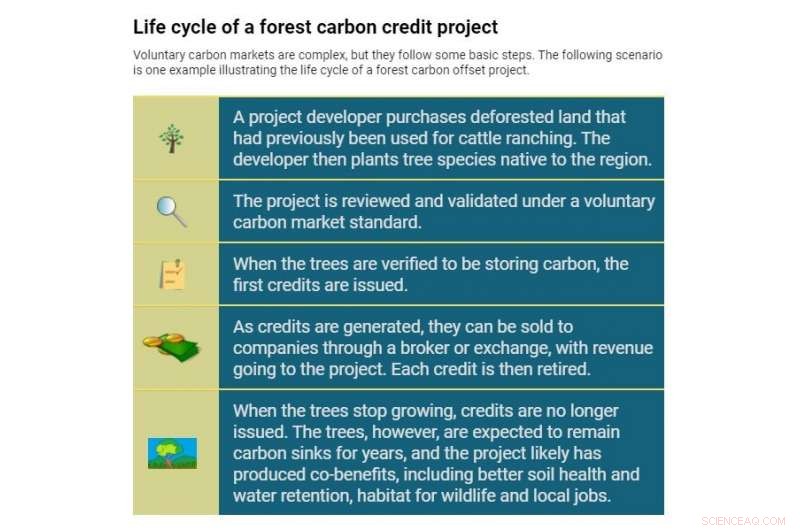 Do Net‑Zero Commitments From Major Companies Deserve Healthy Skepticism?