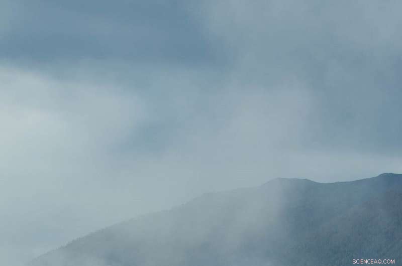 Harnessing China’s Reforestation Efforts to Combat Climate Change