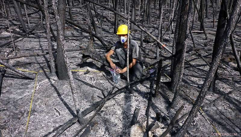 Enduring Risks After Landscape Fires