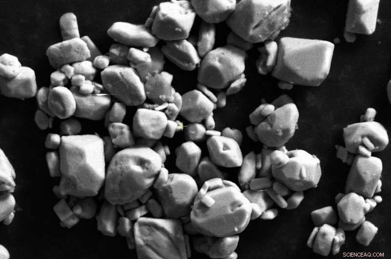 Ocean Chemistry Changes Reveal Sea Level s Role in the Global Carbon Cycle