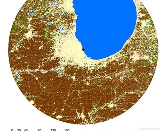 Urban Agriculture: A Valuable Ally, but Not a Cure for City Food Security