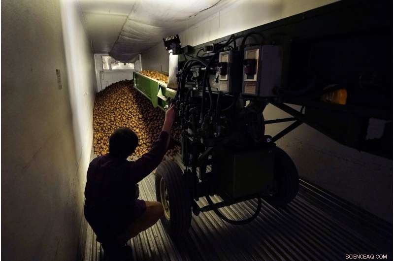 Rising Temperatures Pose New Challenges for Crop Storage