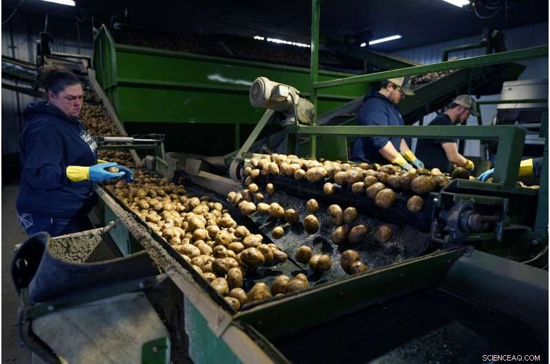 Rising Temperatures Pose New Challenges for Crop Storage