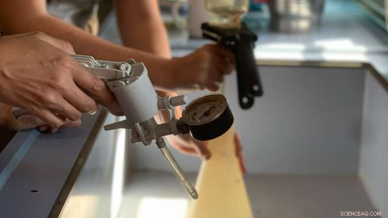 Unveiling Zealandia: Mapping the Hidden Eighth Continent