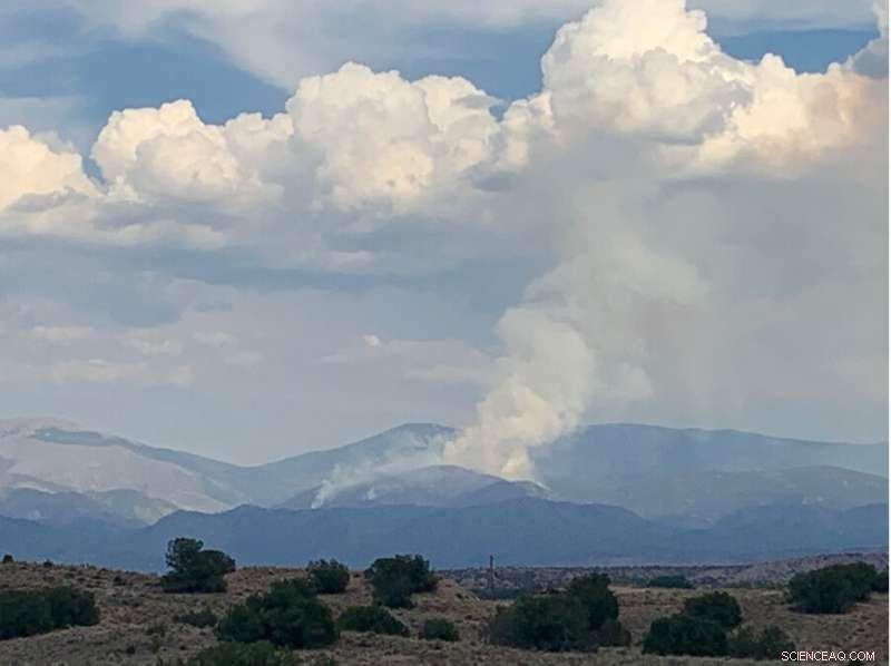 Investigating Wet Fire Smoke: Can Humidity Amplify Global Warming?