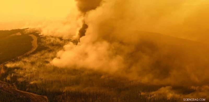 1.8 Million Hectares Destroyed by Severe Fires in Australia’s Black Summer: Climate Change Insights