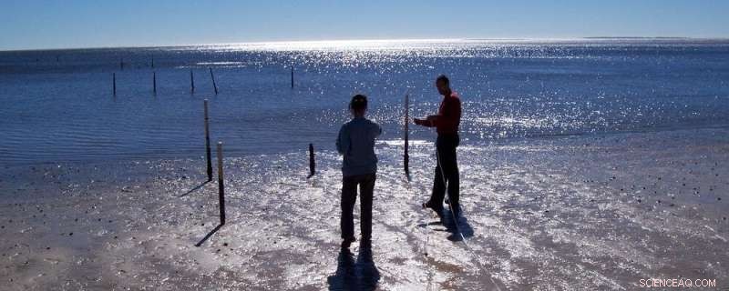 Groundwater Discharge: A Key Driver of Coastal Water Quality Issues