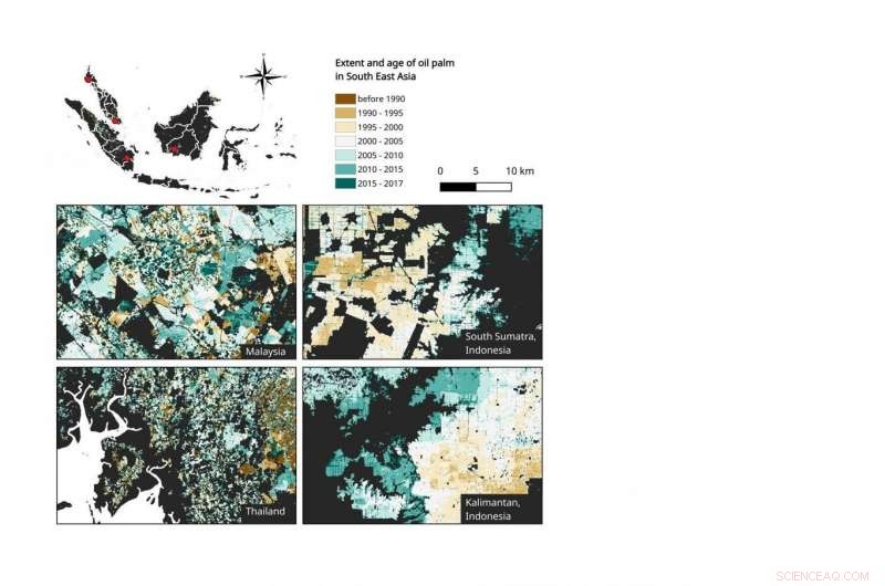 Comprehensive Oil Palm Mapping to Guide Policy and Landscape Planning