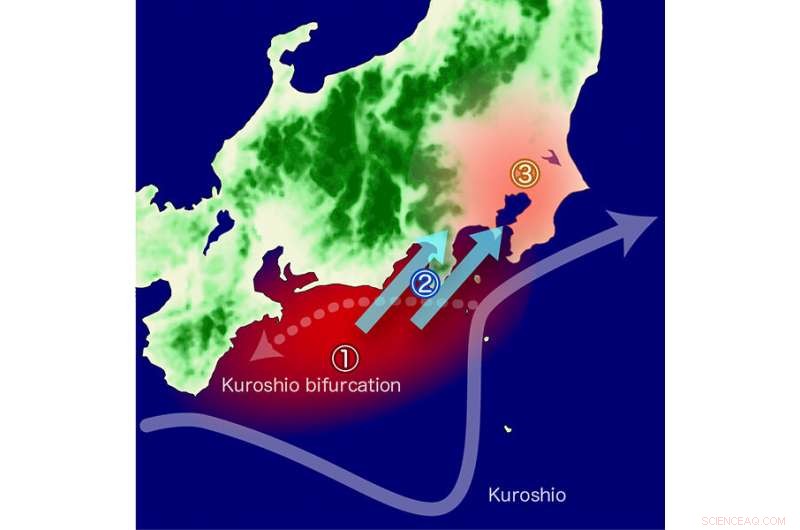 Scientists Link Kuroshio Current to Tokyo’s Rising Heat and Climate Discomfort