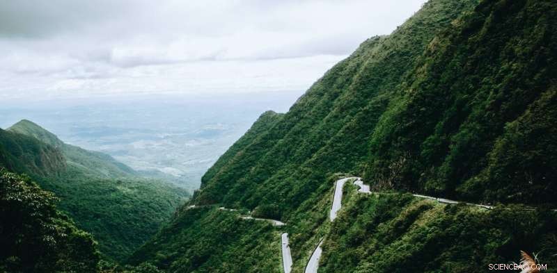 A 140-Million-Year-Old Volcano: Evidence It Did Not Trigger Global Climate Change or Mass Extinction