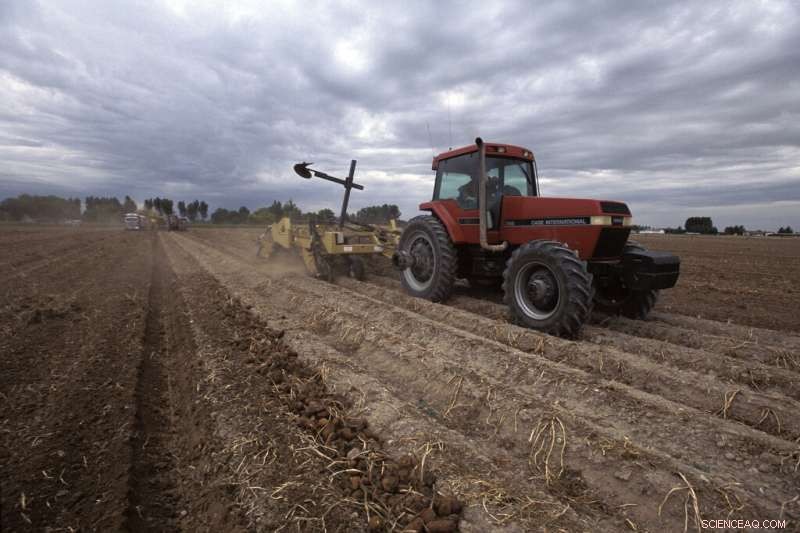 Climate Change Reduces Global Agricultural Productivity by 21% Since the 1960s