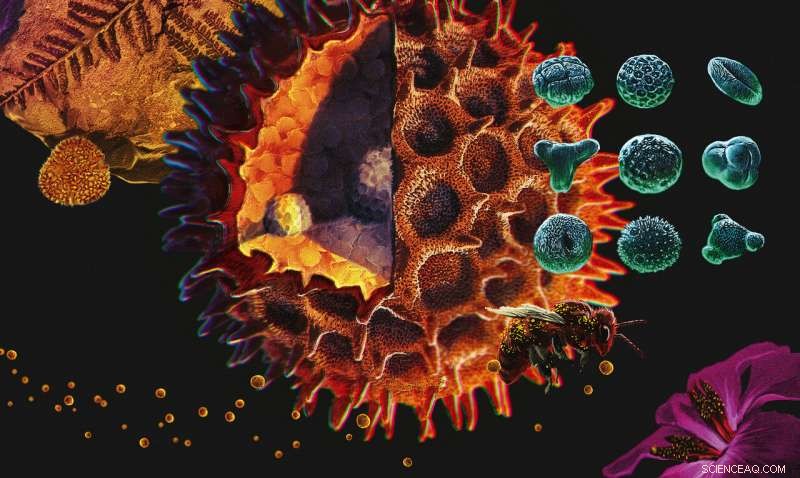 From Impact to Biodiversity: How the Chicxulub Event Shaped Today’s Rainforests