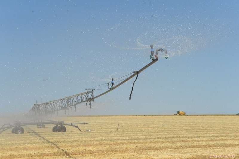European Crop Yields Hit Harder by Heat and Drought: Losses Tripled Over 50 Years, Study Shows