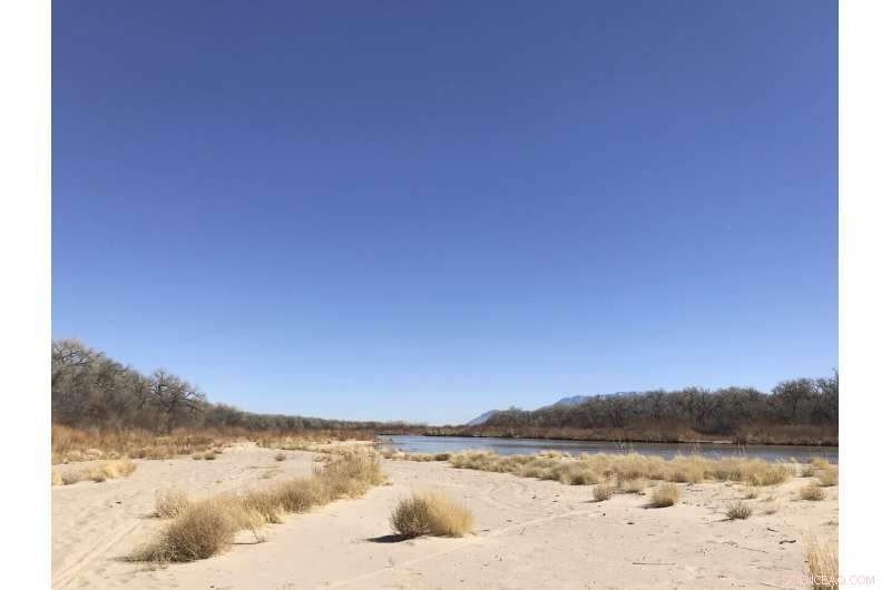 Western Rivers Tighten Hold as Dry Conditions Intensify