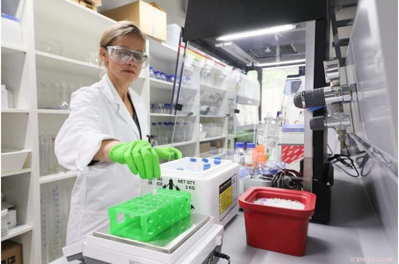 Scientists Reveal Hidden Dynamics of Glacier-Fed Streams Across Greenland and Switzerland