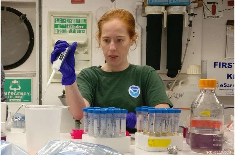 Houston Flooding Contaminates Reefs Over 100 Miles Offshore