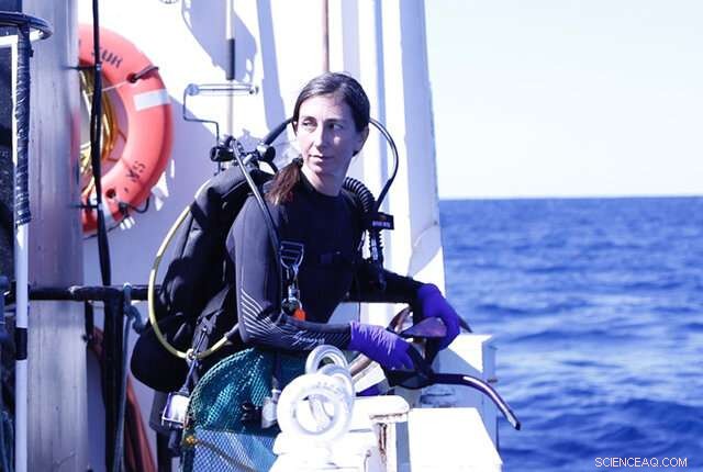 Houston Flooding Contaminates Reefs Over 100 Miles Offshore