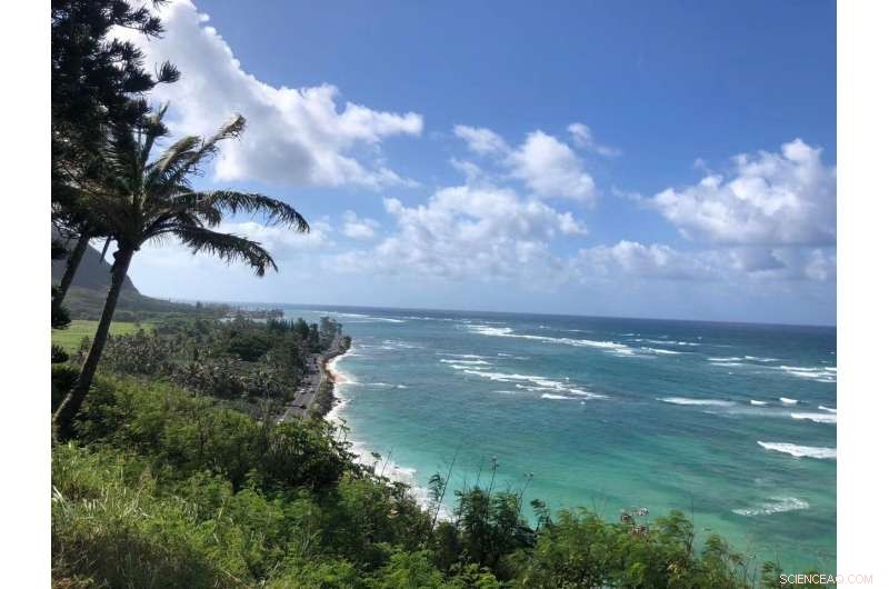 Unusual Madden–Julian Oscillation Patterns During the 2015–2016 Super El Niño